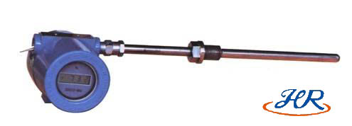 帶溫(wēn)度變送器熱電(diàn)阻